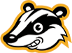 privacy-badger review